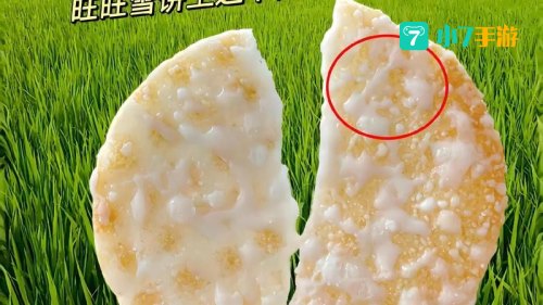 雪饼上白色的雪是啥
