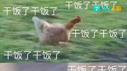 干饭人是什么意思什么梗